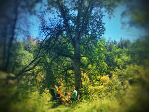 TAO on TOUR - LIFE: „Seen und Flüsse - Tour" - Tag 14 - 16