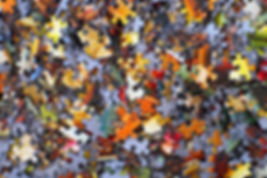 puzzle.jpeg