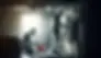 DALL·E 2024-03-30 11.37.16 - A dark, photo-realistic image in a 16_9 aspect ratio of mold
