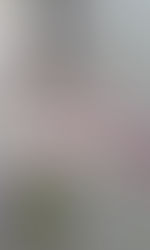 2017年国際ヨーガデイズ IN 帯広「ヨーガとアロマ」開催報告