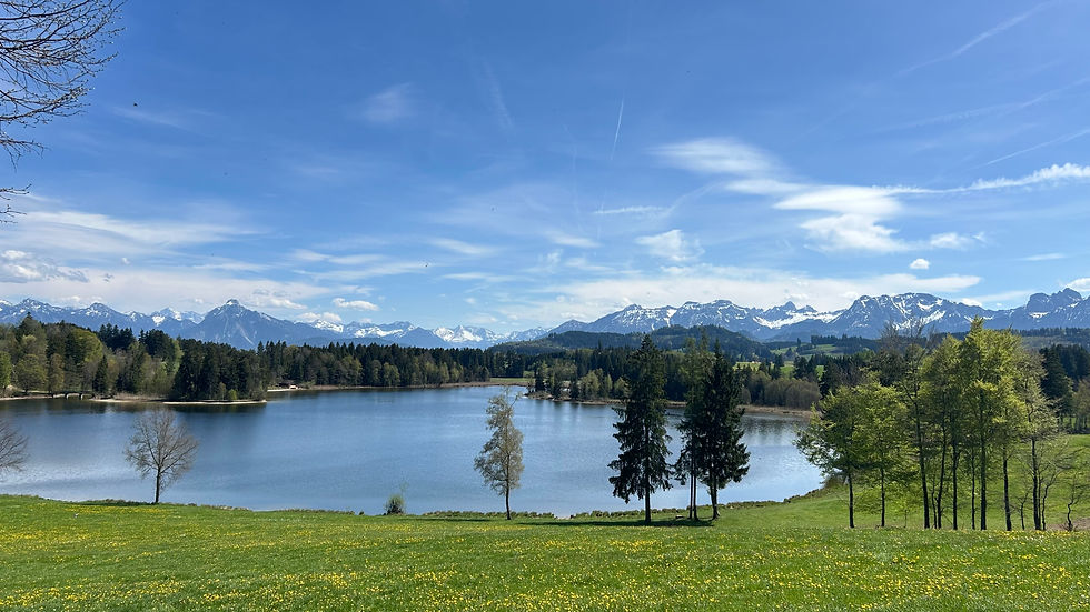 Yoga am Schwaltenweiher