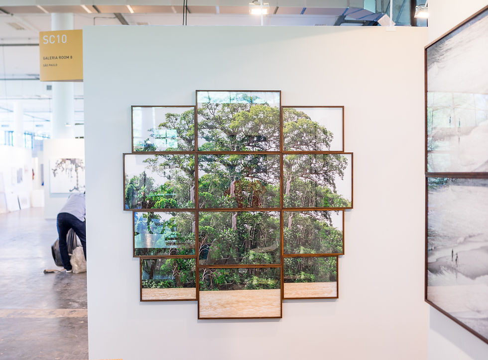 Densidade fracionada