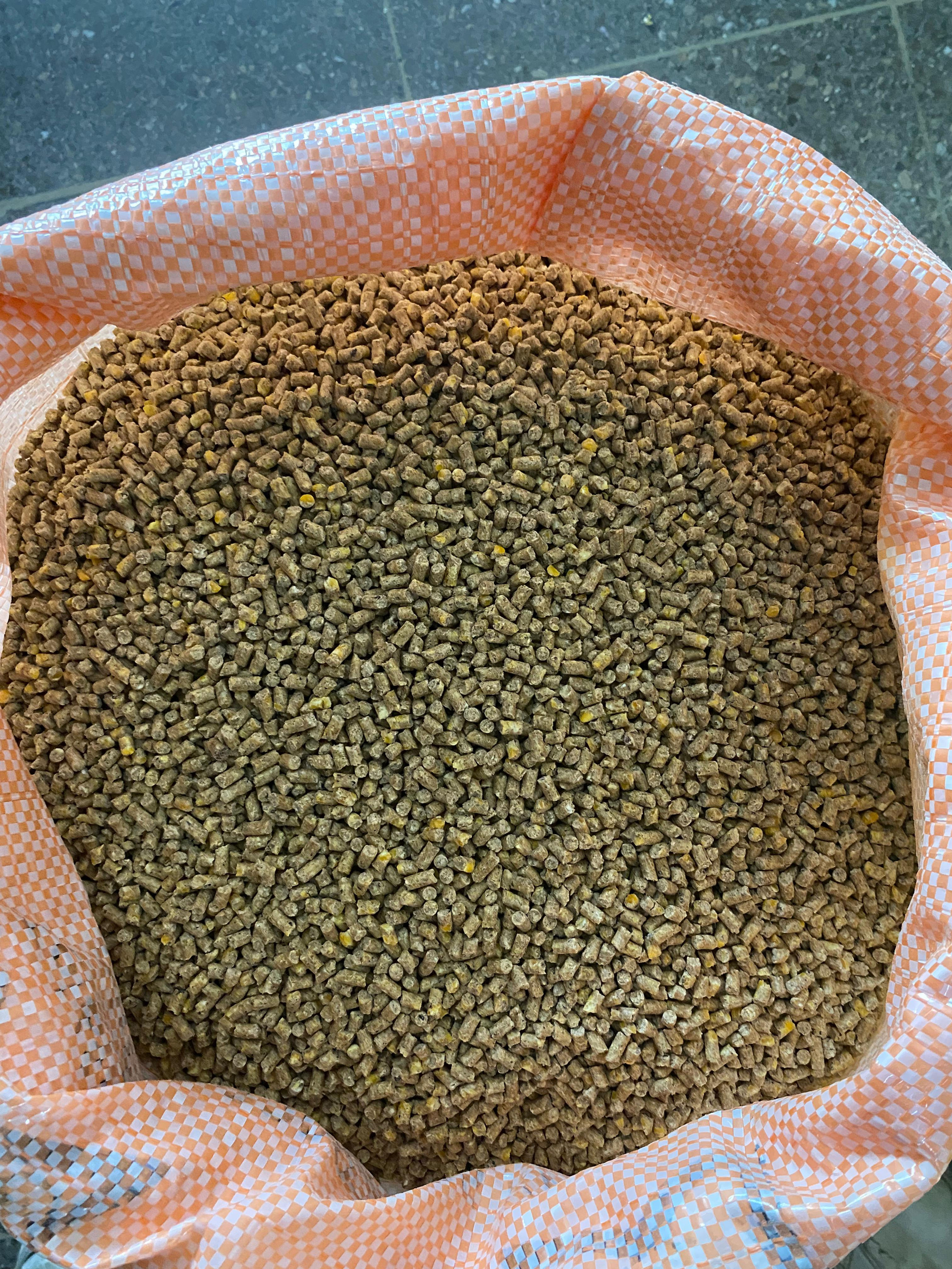 Desarollo Pollos pelet 46kg