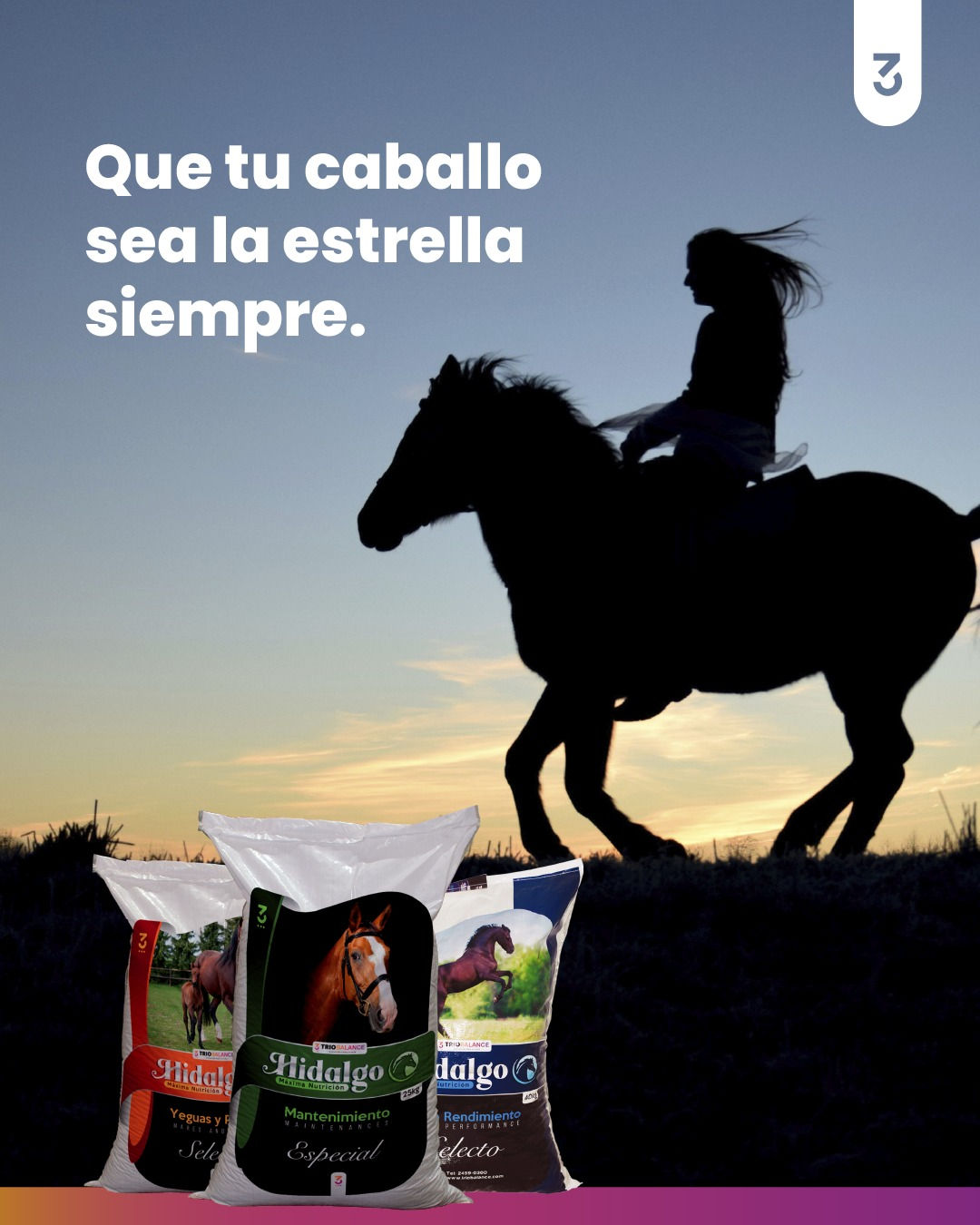 Hidalgo Yeguas y Potros Pelet 46kg 