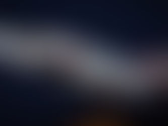 今週のスケジュール