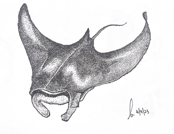 Screenshot 2023-11-28 002557