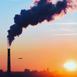 Supporting the Body in a World of Toxins