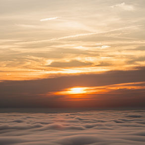 Sunlight Is Simple, Free, and Surprisingly Powerful