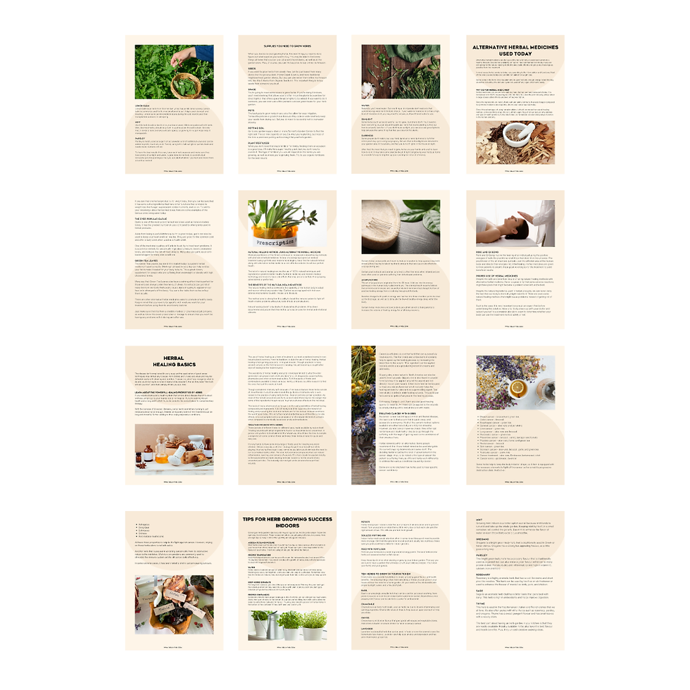 Thumbnail: Healing Herbs