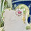 Thumbnail: Royal Crown Derby menu holder