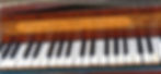 Zumpe ( 3) - Copy.jpg