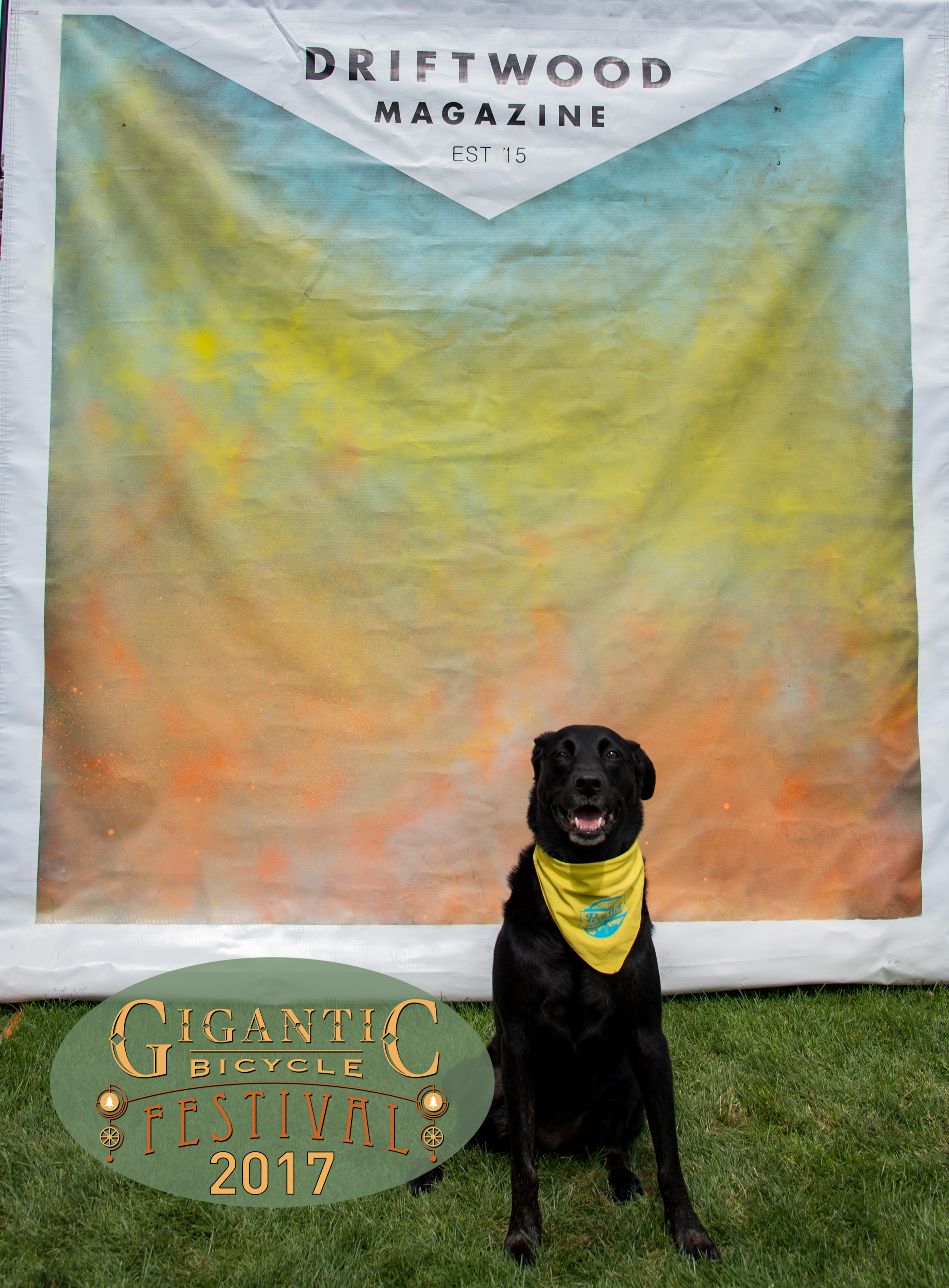 Driftwood Magazine_Gigantic Bike Fest-71.jpg