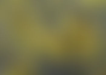 Attivati tirocini per il Climate Pact presso Leonardo-IRTA