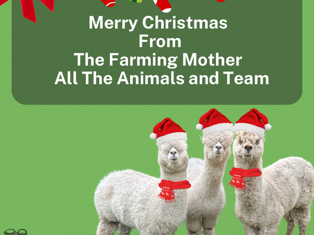 The Farming Mother year reflection….What a year 2024 has been!!