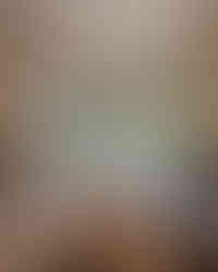 Kitchen Windows without Shades