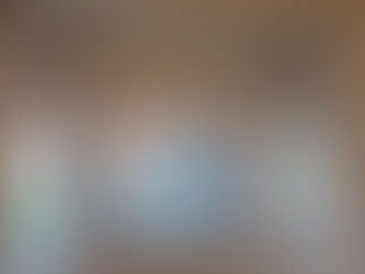 Roller shades in bedroom