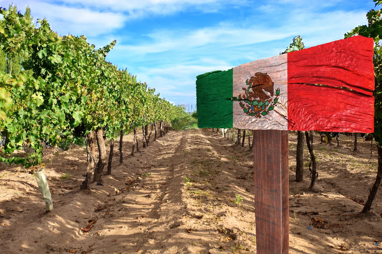 Vino mexicano