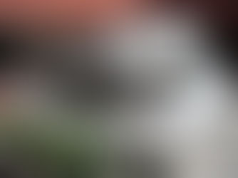 Sitios arqueológicos que puedes visitar en la CDMX