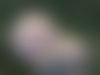 A QUÉ ALTURA PUEDE SUBIR UN GLOBO AEROSTÁTICO?