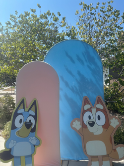Bluey Birthday Backdrop