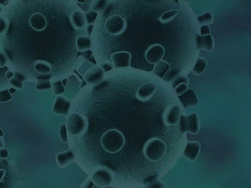 Vamos precisar de aumento temporário de impostos para pagar a crise do coronavírus, diz economista