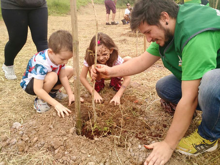 Jardim Brasilândia está mais arborizado
