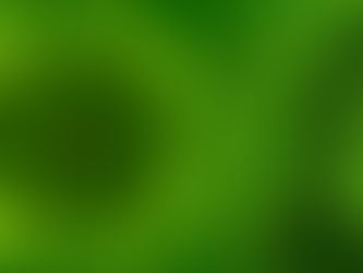 Caixa atualiza protocolos de Covid-19