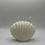 Miniature : bougie Coquillage Serein