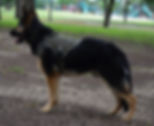 fullsizeoutput_1782.jpeg