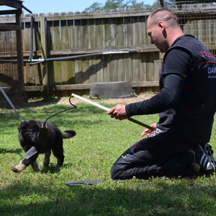 Tuffy with helper David Stofanik