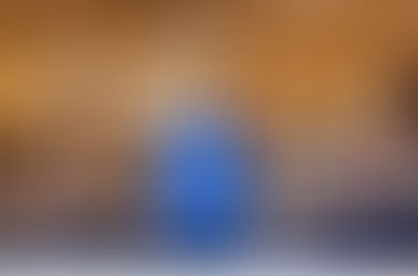 BPTA Celebrates 25 Years!