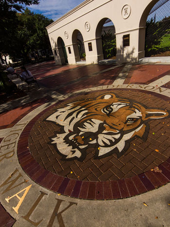 School paver logo
LSU Paver design