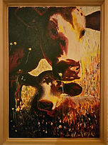 2024 Kalverliefde.jpg