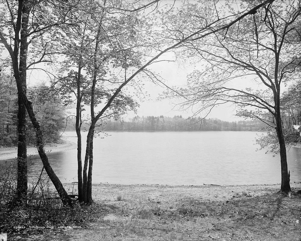 Detroit Publishing Co. copyright claimant, publisher., Public domain, via Wikimedia Commons
