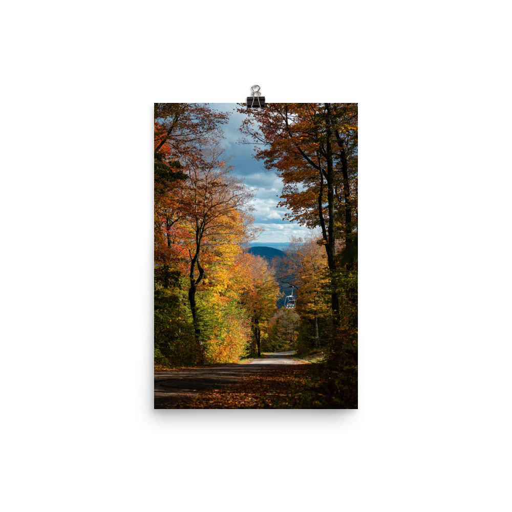 sunny fall chair poster