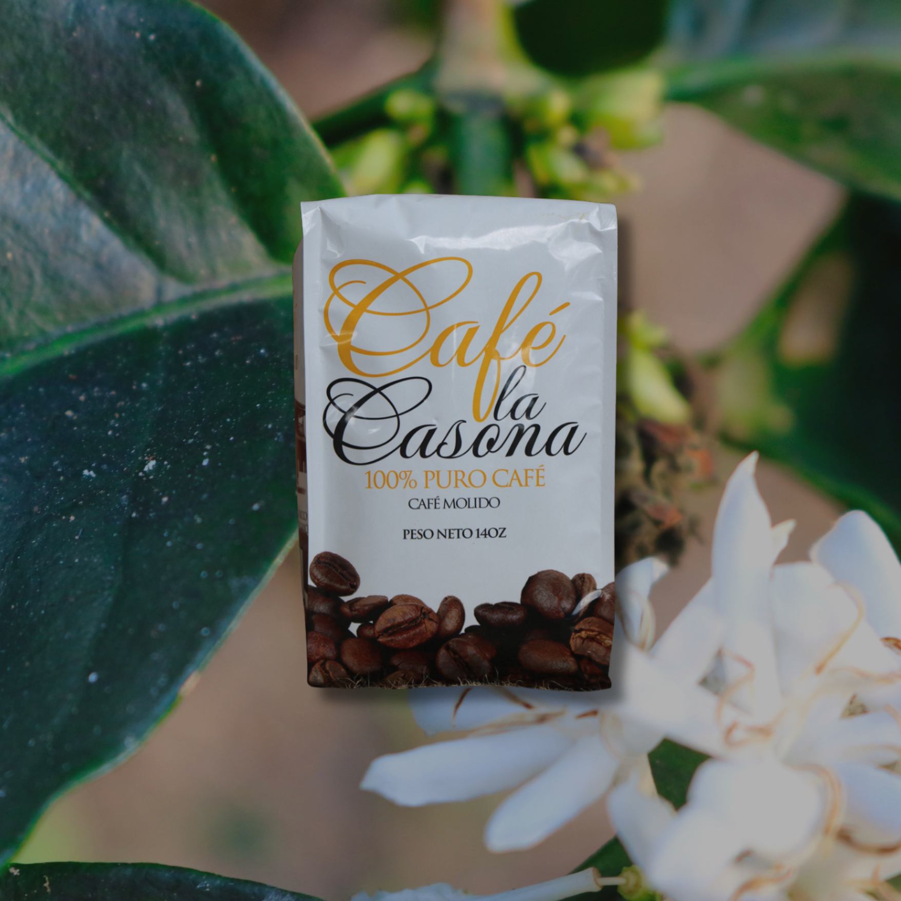 Café La Casona 14oz
