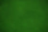 Field Grass