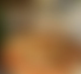 Leccino est de retour ! 🎉