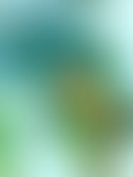 真夏のレッスン！水曜クラス