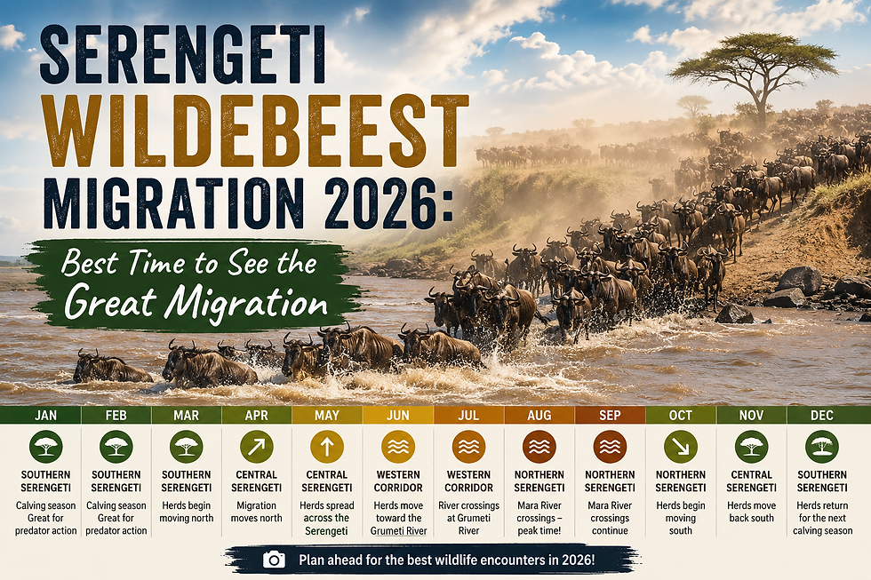 Serengeti Wildebeest Migration