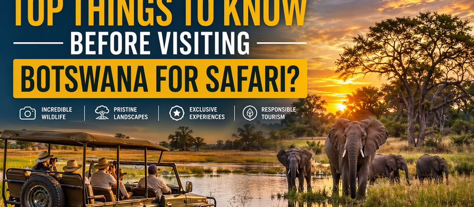 What Are the Top Things to Know Before Visiting Botswana for Safari?