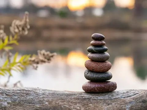 A Fresh Perspective on Life