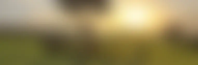 African Safari Tours for Americans: Top 2025 Destinations and Deals