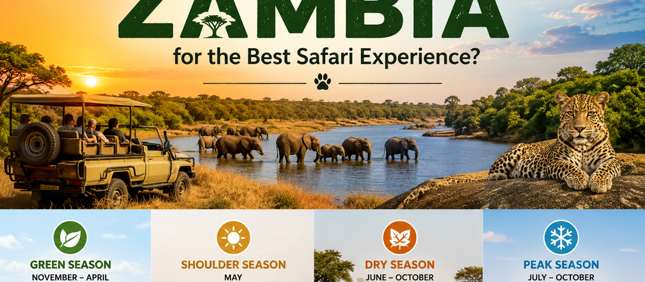 When Should You Visit Zambia for the Best Safari Experience?