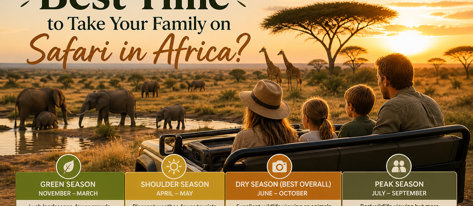 When Is the Best Time to Take Your Family on Safari in Africa?