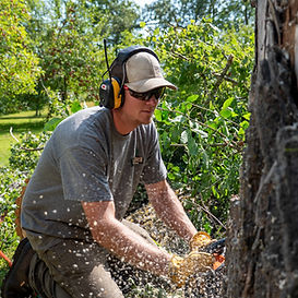 Toby with Lakes Area Tree Service