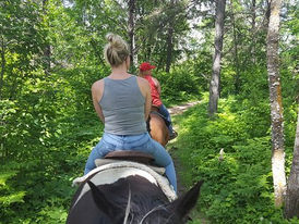 Horseback Riding