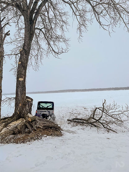 Lakes Area Tree Service-91.jpg