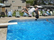Flipper - Shady Grove Resort