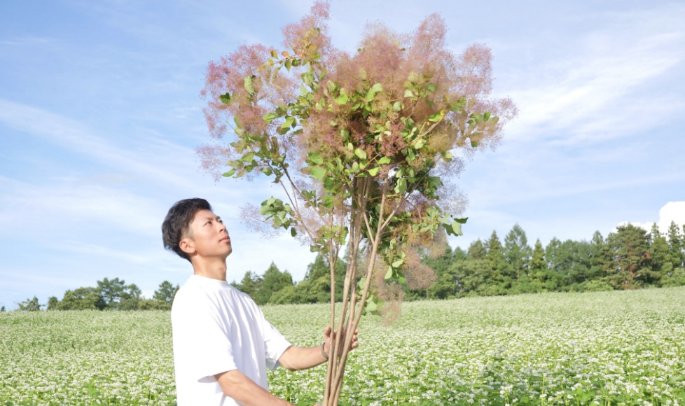 sakuhana_001 – 71.png